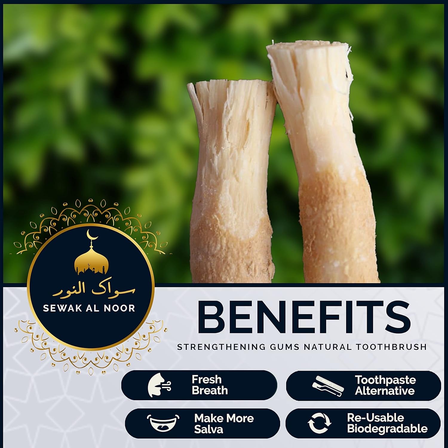 Miswak Sticks Pack of 10 with Holder - Vacuum Sealed Natural Flavored Chew Sticks - Natural Toothbrush for Teeth Whitening, Oral Health & Fresh Breath