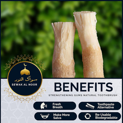 Miswak Sticks Pack of 10 with Holder - Vacuum Sealed Natural Flavored Chew Sticks - Natural Toothbrush for Teeth Whitening, Oral Health & Fresh Breath