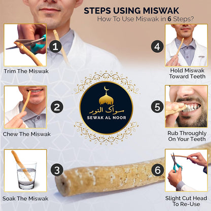 Miswak Sticks Pack of 10 with Holder - Vacuum Sealed Natural Flavored Chew Sticks - Natural Toothbrush for Teeth Whitening, Oral Health & Fresh Breath